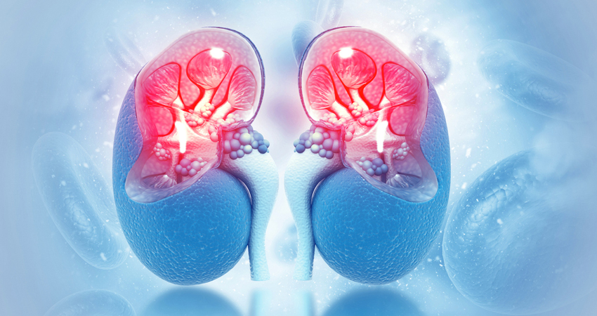 Adrenal Gland Disorders