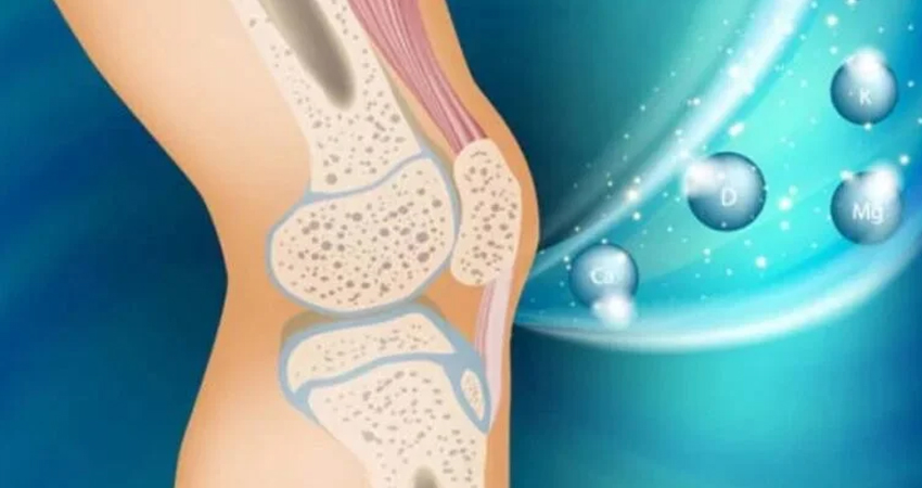 Bone & Calcium Disorders